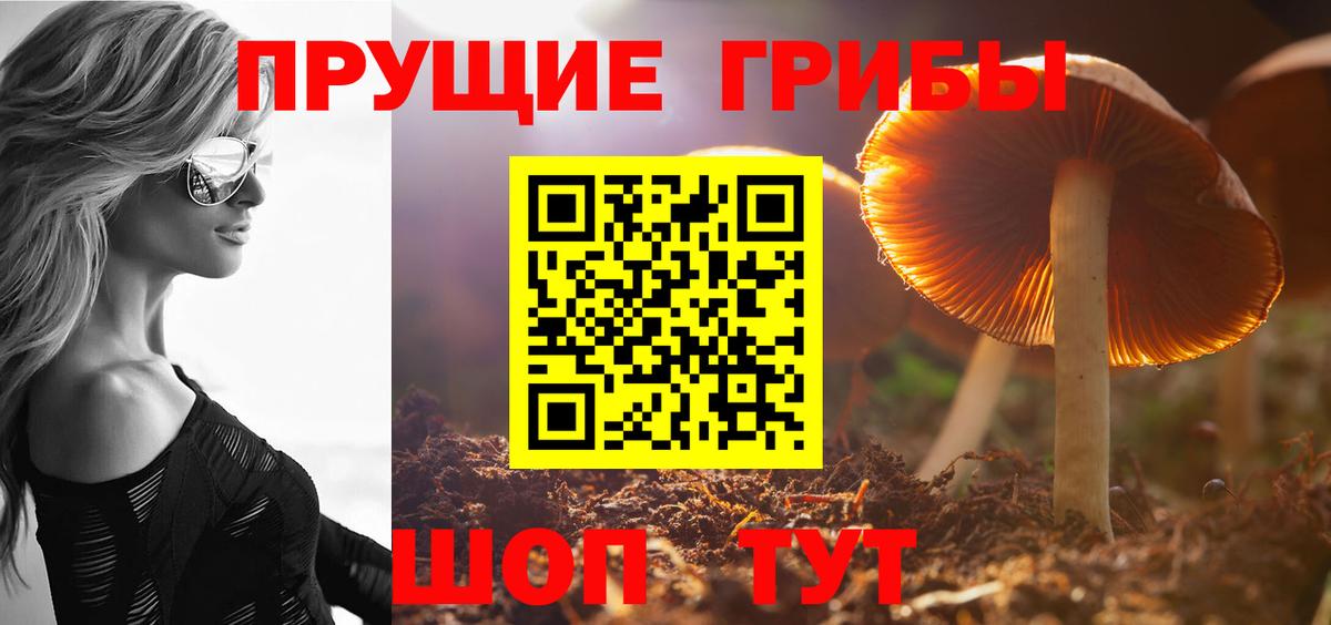 Тула  Псилоцибиновые грибы Psilocybine cubensis  Вход с VPN  Галлюциногенные грибы Psilocybe 
