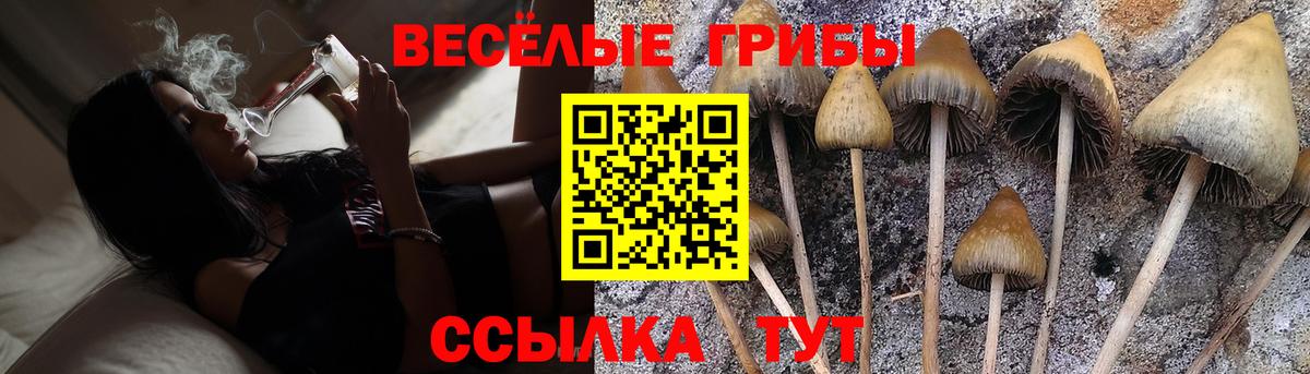 Галлюциногенные грибы ЛСД Тула