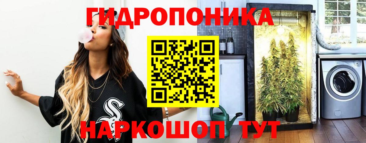 Бошки марихуана SATIVA & INDICA  Бошки марихуана план  Вход с VPN  Бошки Шишки LSD WEED  Тула 