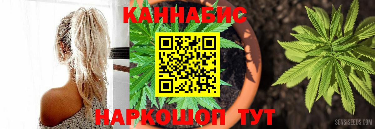 Бошки Шишки гибрид Тула